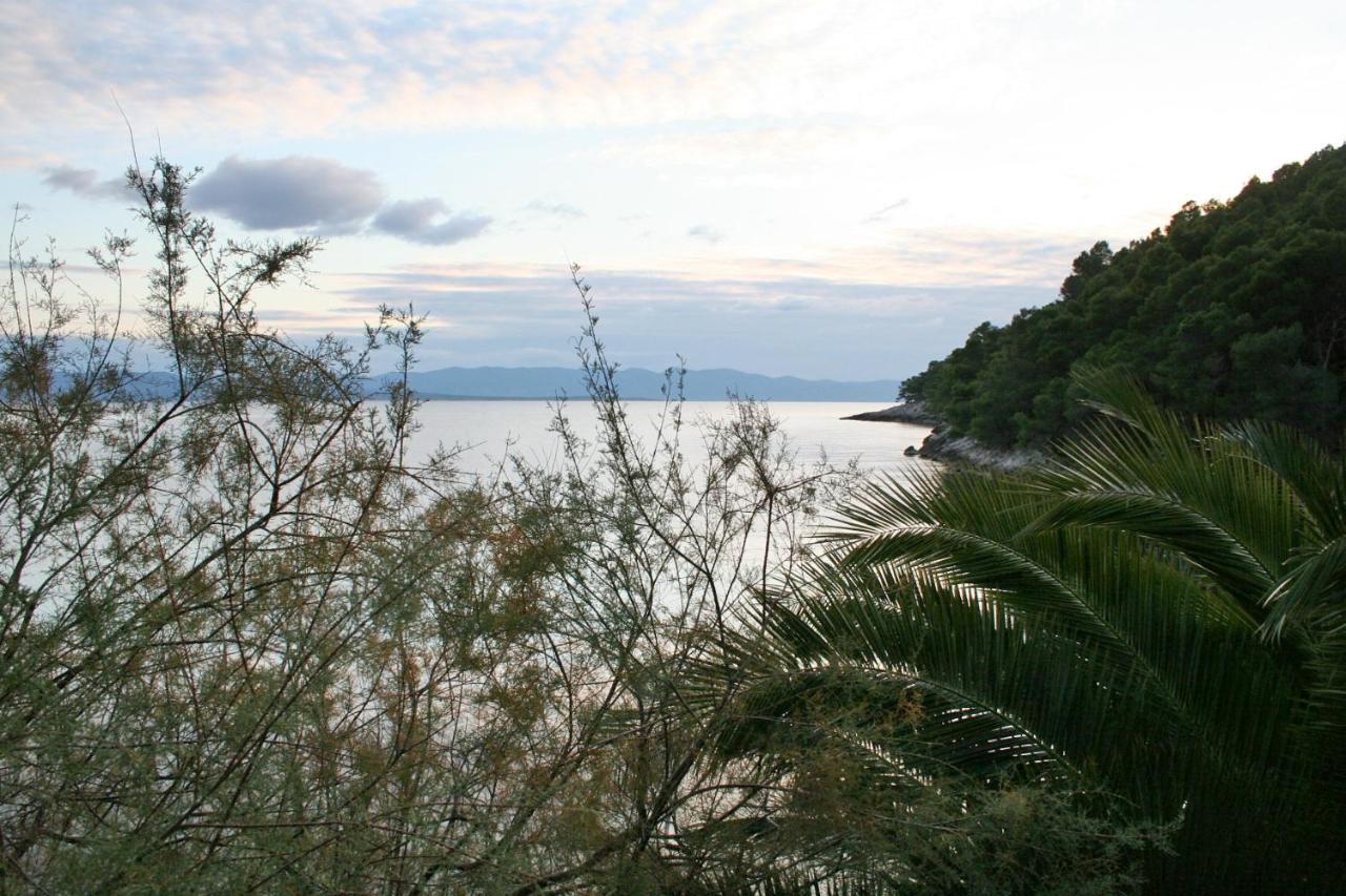 Seaside Secluded Apartments Cove Smokvina, Hvar - 4036 Bogomolje Exterior foto